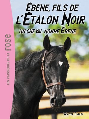 cover image of L'Étalon Noir 22--Un cheval nommé Ébène